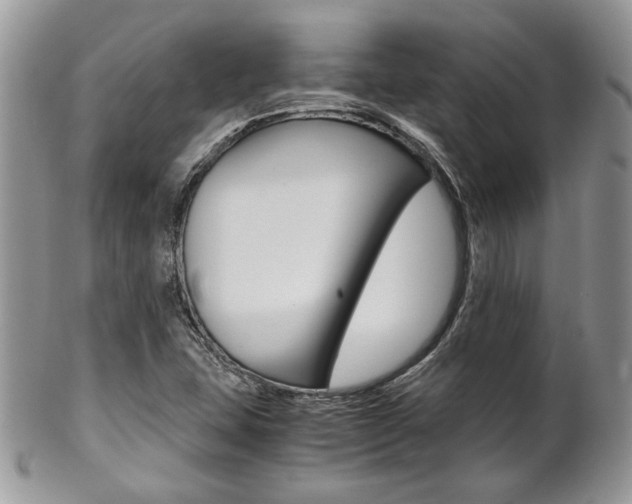 X0000102841407200808181014