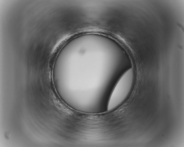 X0000102841408200808181014