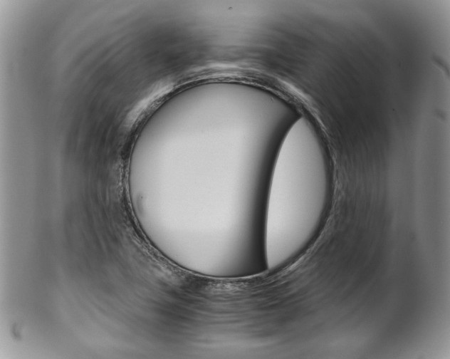 X0000102841411200808181014