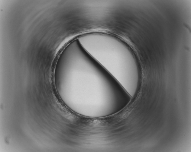 X0000102841412200808181014