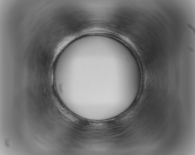 X0000102841413200808181014