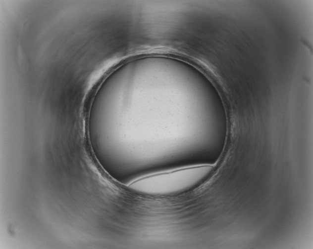 X0000102841414200808181014