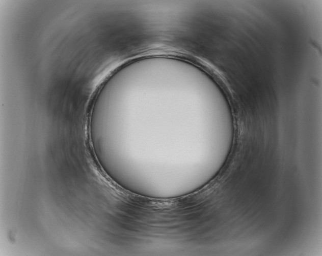 X0000102841415200808181015