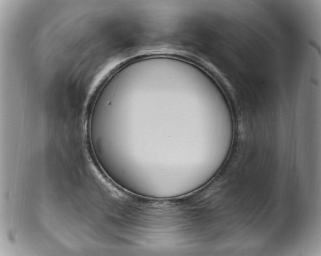 X0000102841416200808181015