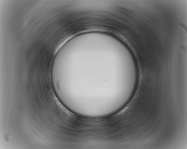 X0000102841417200808181015