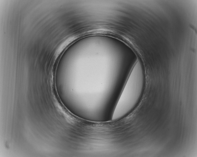 X0000102841418200808181015