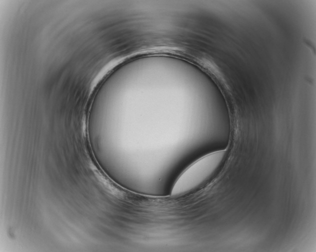 X0000102841420200808181015