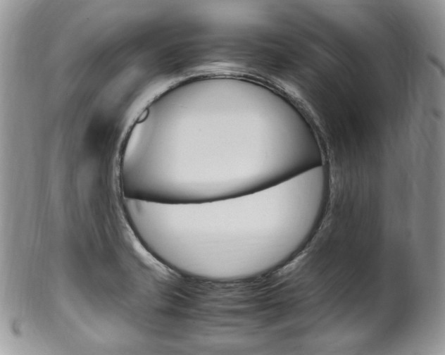 X0000102841421200808181015