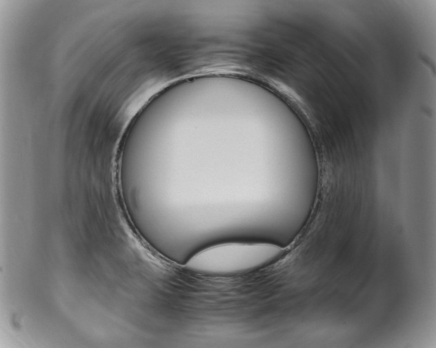 X0000102841423200808181015