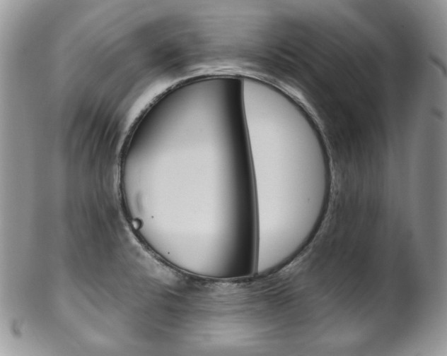 X0000102841424200808181015