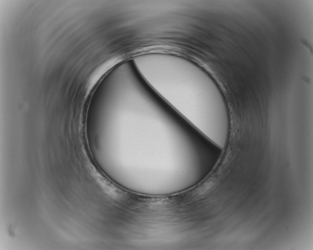 X0000102841426200808181015
