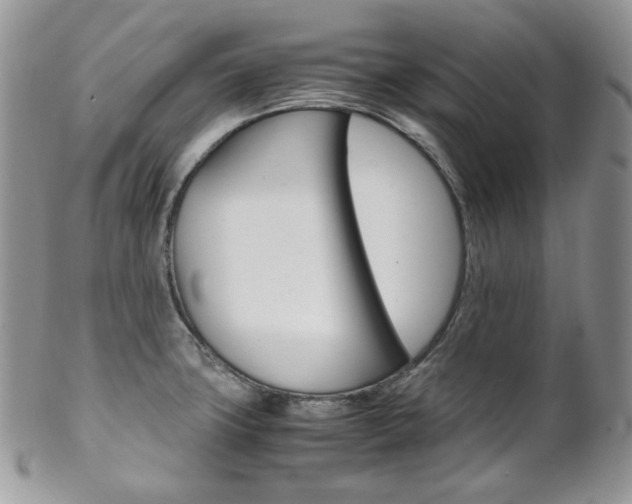 X0000102841427200808181015