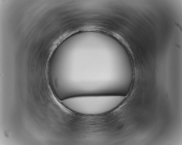 X0000102841429200808181015