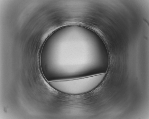 X0000102841430200808181015