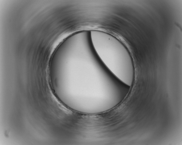 X0000102841432200808181015