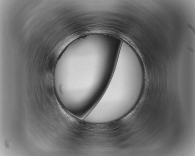 X0000102841433200808181015