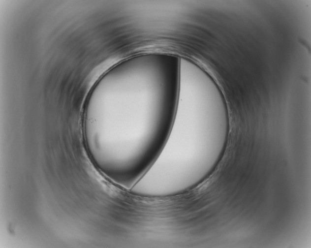 X0000102841434200808181015