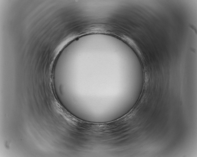 X0000102841435200808181015