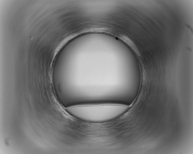 X0000102841436200808181015