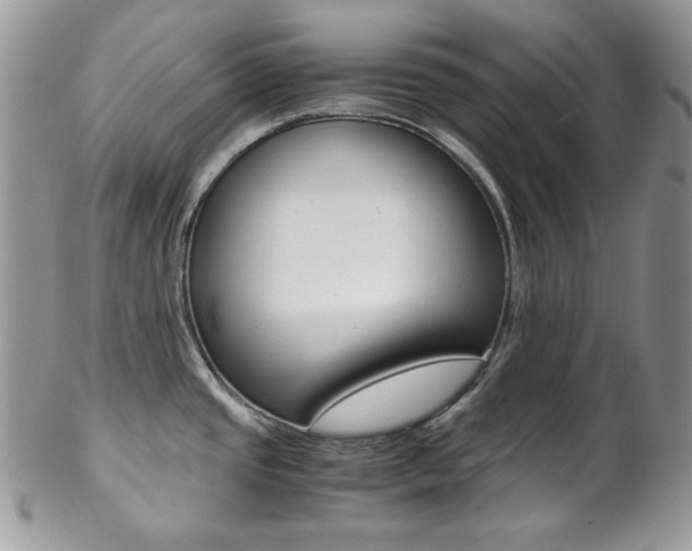 X0000102841437200808181015