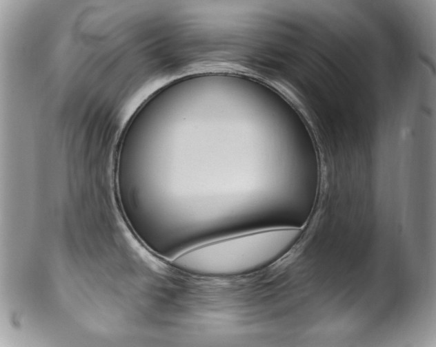 X0000102841438200808181015