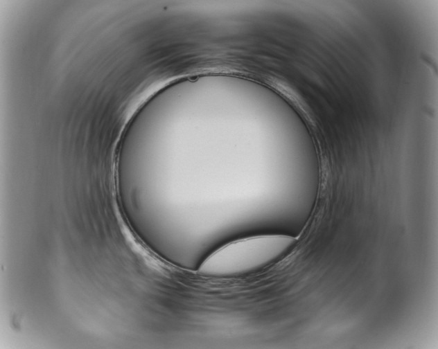 X0000102841439200808181015