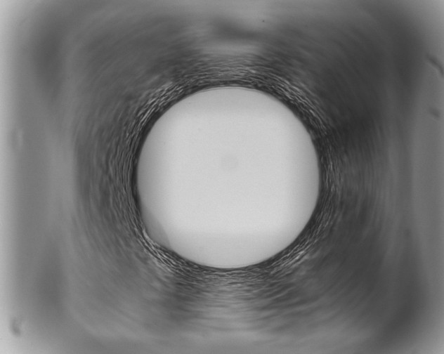 X0000102841441200808181014