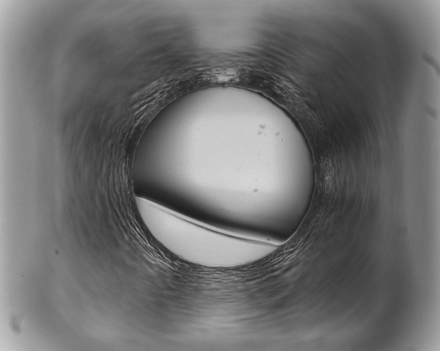 X0000102841442200808181014