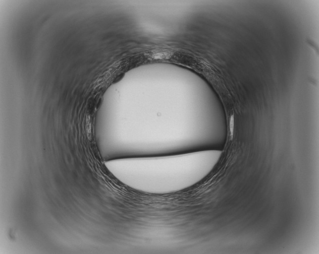 X0000102841443200808181014