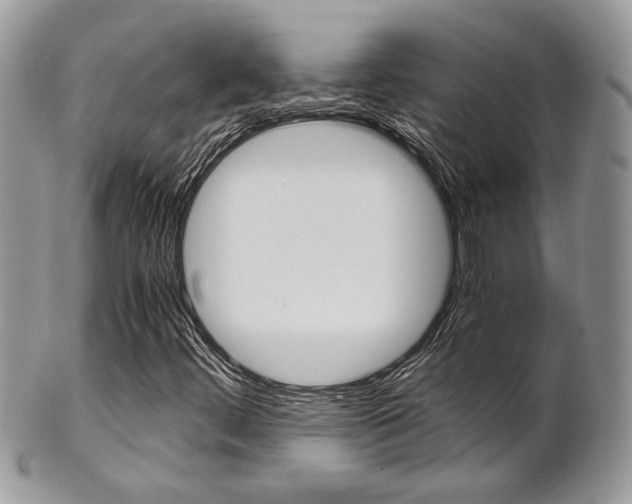 X0000102841444200808181014