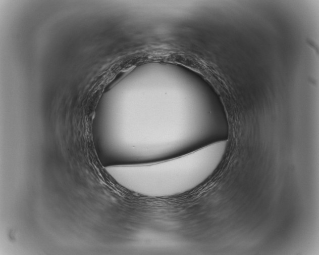 X0000102841445200808181014