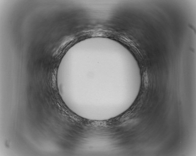 X0000102841446200808181014
