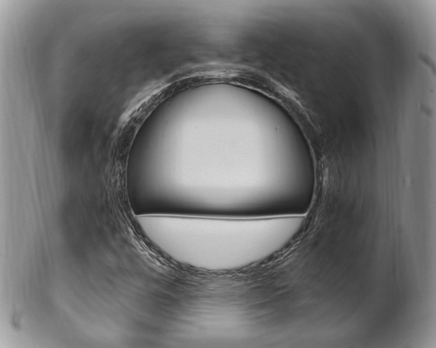 X0000102841448200808181014