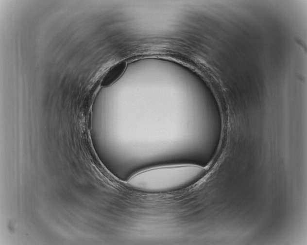 X0000102841449200808181014
