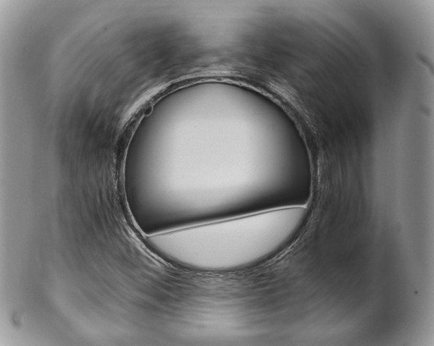 X0000102841452200808181014