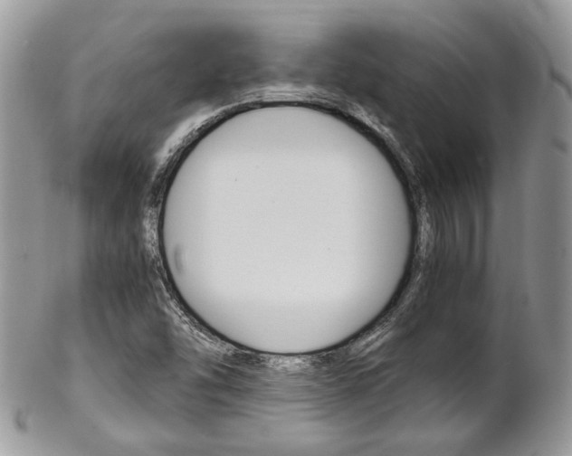 X0000102841454200808181014