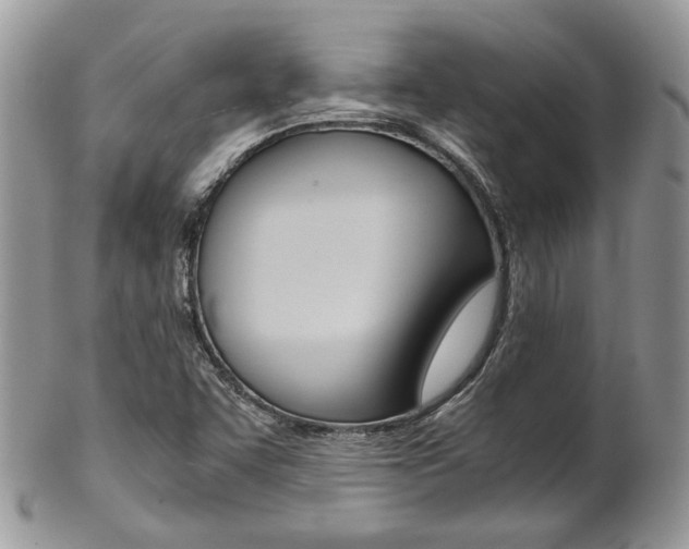 X0000102841455200808181014