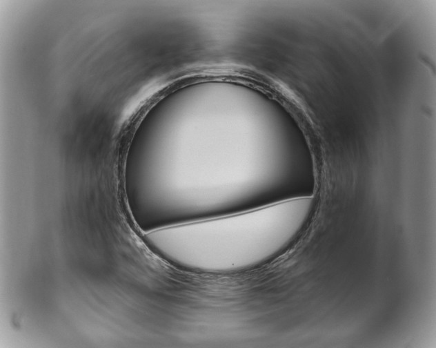 X0000102841456200808181014