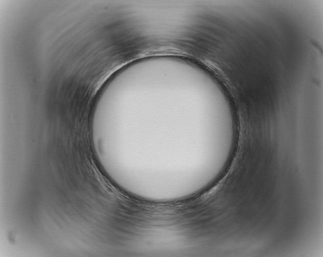 X0000102841457200808181014