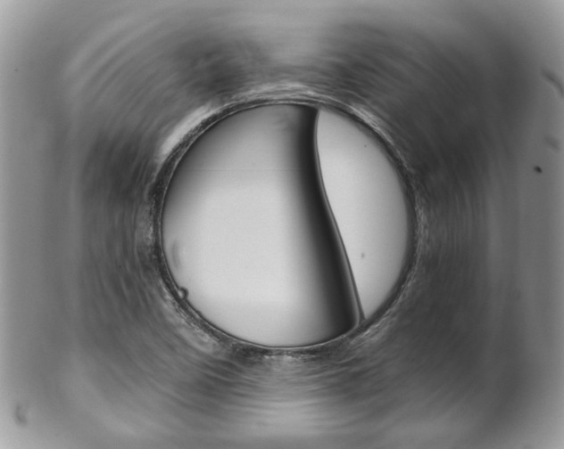 X0000102841458200808181014