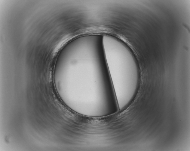 X0000102841459200808181014