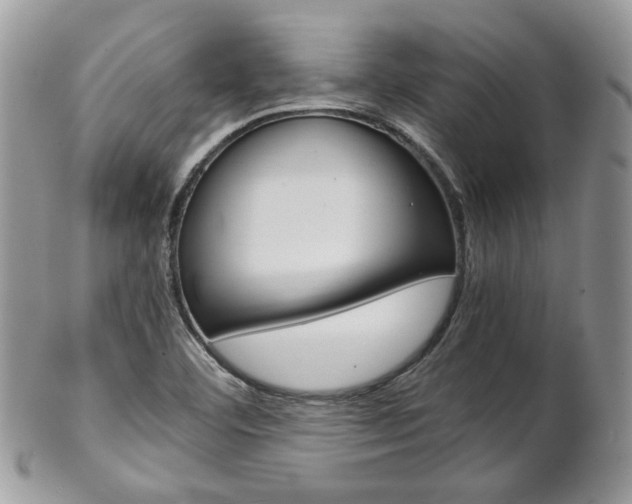 X0000102841460200808181014