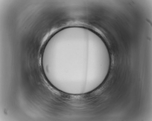 X0000102841462200808181014