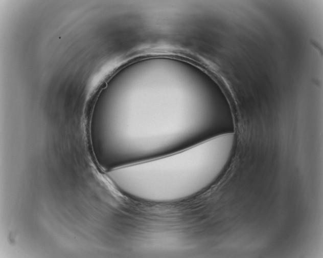 X0000102841464200808181014