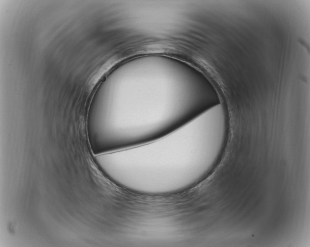 X0000102841465200808181014