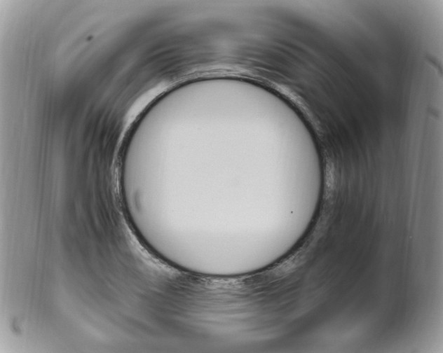 X0000102841466200808181014