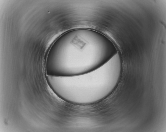 X0000102841468200808181014