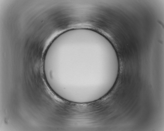 X0000102841470200808181014