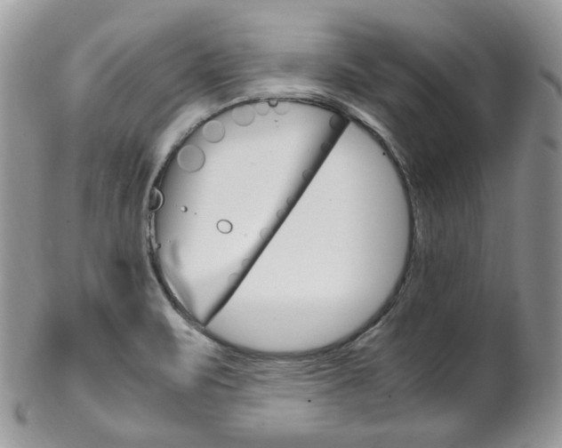 X0000102841471200808181014