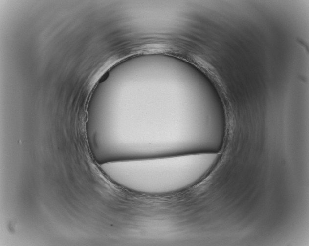 X0000102841473200808181014